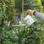 Wrendale Designs Watering Can