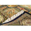 Oriental Area Rug