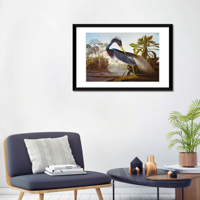 James Audubon - Print