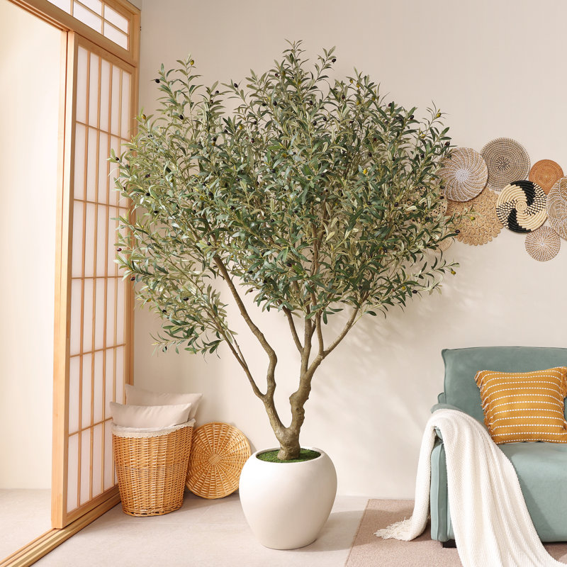 Olive artificielle H 84 po avec pot de fleurs blanc Ashwell