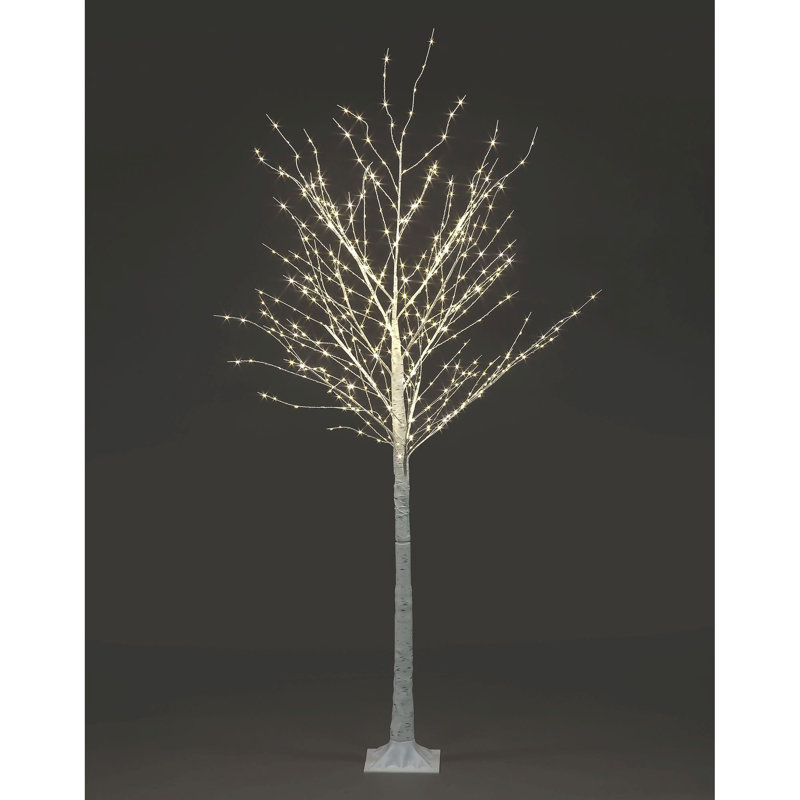 Angielina Indoor / Outdoor Lighted Trees & Branches