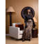 Kinshasha - Springok Pillow-762151061