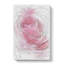 Pink Rose Petals in Abstract - Wrapped Canvas Drawing - Wrapped Canvas-55339648