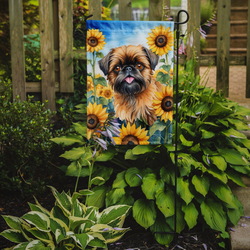 Lévrier irlandais dans le drapeau du jardin de tournesols, Griffon bruxellois