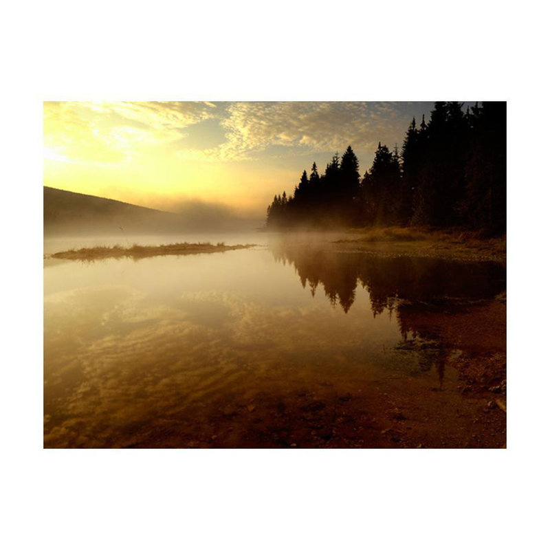 Dajonique Wall Mural, 121" L x 157" W