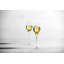 Handmade Alloro Champagne (77) 12.4oz (.36L)