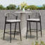 Tabourets de bar d'extérieur à structure en métal à hauteur d'assise 30,25 po avec dossier en forme de feston en rotin PE, ensemble de 2, noir mat-1149986440
