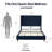 Demaryius Upholstered Platform Bed-1369808283-1369808284