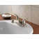 Choice Centerset 2-handle Bathroom Faucet with Drain Assembly