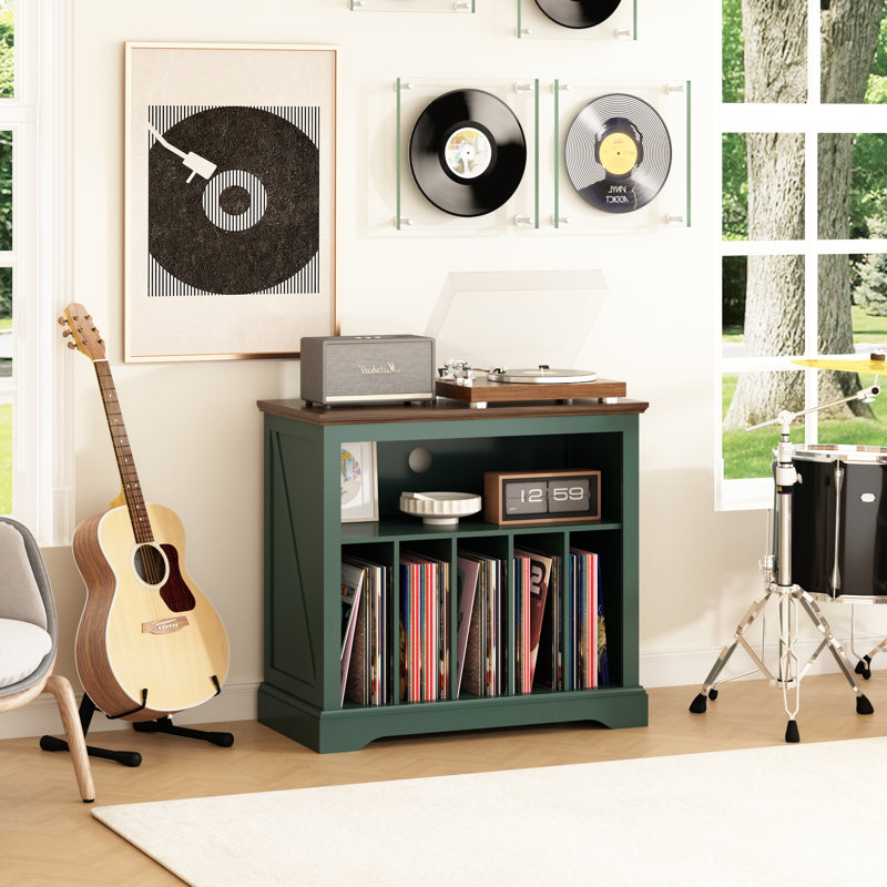 Support pour disque vinyle rustique, support pour disque vinyle jusqu'à 230 albums, Vert