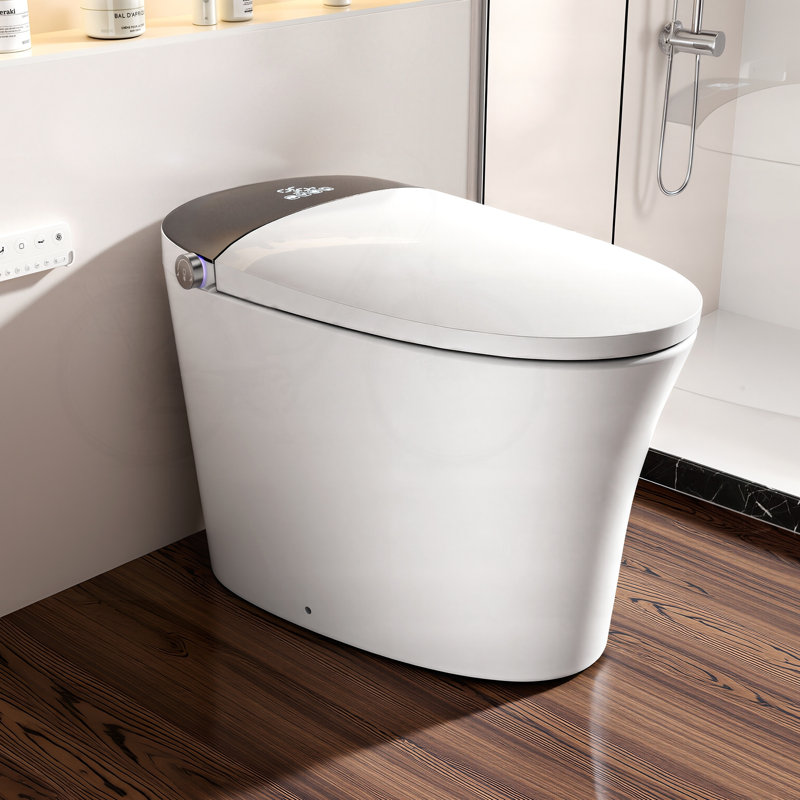 Toilette intelligente à capteur de radars avec bouclier en mousse et chasse d'eau sans pression d'eau