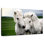 Brampt Pony Love