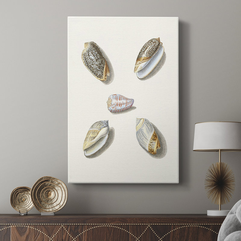 Pastel Knorr Shells III - Cavas enveloppés de galerie, H 18 po x l 12 po