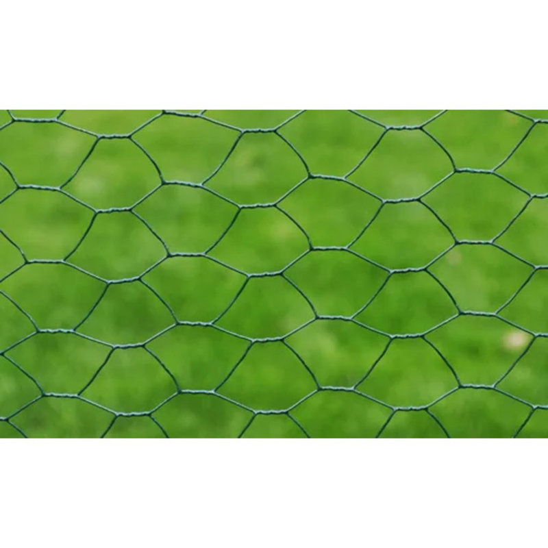 Chicken Wire Fence with PVC Coating , Green