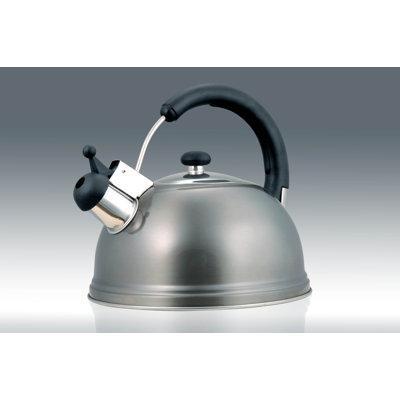 Creative Home Stainless Steel Tea Kettle