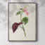 «Pretty Pink Botanicals VI», reproduction encadrée - bois massif 2768833-880584935