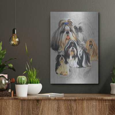 " Shih Tzu " by Barbara Keith