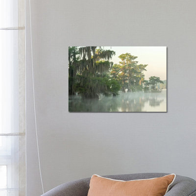 USA, Louisiana, Lake Martin. Foggy Sunrise On Swamp. by Jaynes Gallery - Wrapped Canvas Gallery-Wrapped Canvas Giclée