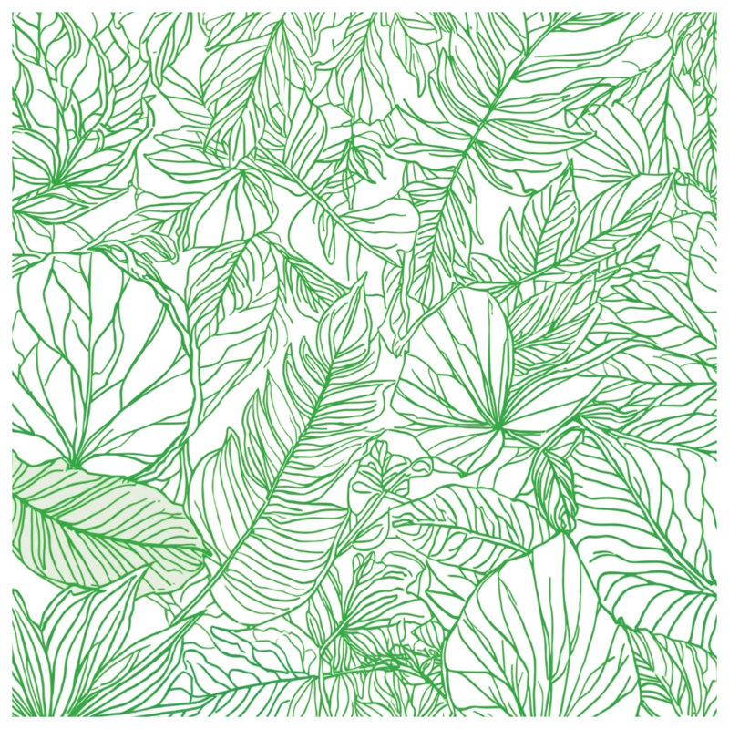 Housses de couette Green Line, Lit simple