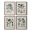 «Vintage Floral Print», impression encadrée - ensemble de 4-580167507-580167506