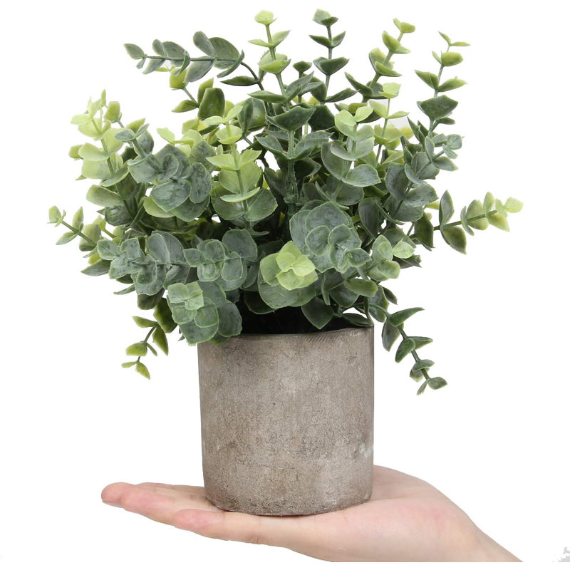 Mini plantes en pot Eucalyptus artificiel, buis, romarin, fausses herbes, petites plantes d'intérieur pour la verdure intérieure, centre de table (Eucalyptus vaporisé)