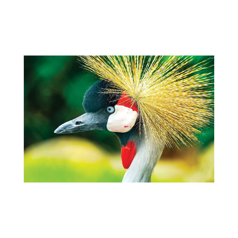 Southern Crowned Crane (Balearica Regulorum) par William Perry - Photographie sur toile tendue, H 8 po x l 12 po x P 0,75 po