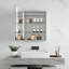 Shenia Surface Mount Medicine Cabinet With Mirror And Adjustable Shelves-2142907004