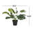 15.55 " H Faux Plant in Plastic Pot