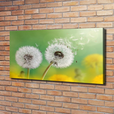 Dandelions - Wrapped Canvas Print