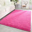 Shag 122cm X 183cm Area Rug-128268138