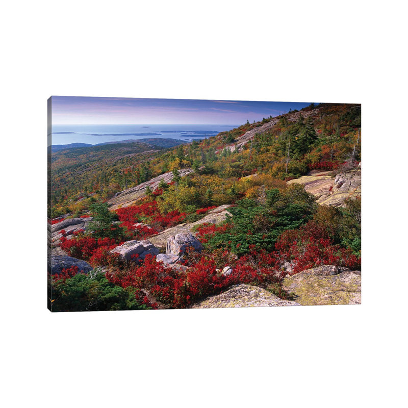 Atlantic Coast From Cadillac Mountain, Acadia National Park by Tim Fitzharris - Wrapped Canvas Print