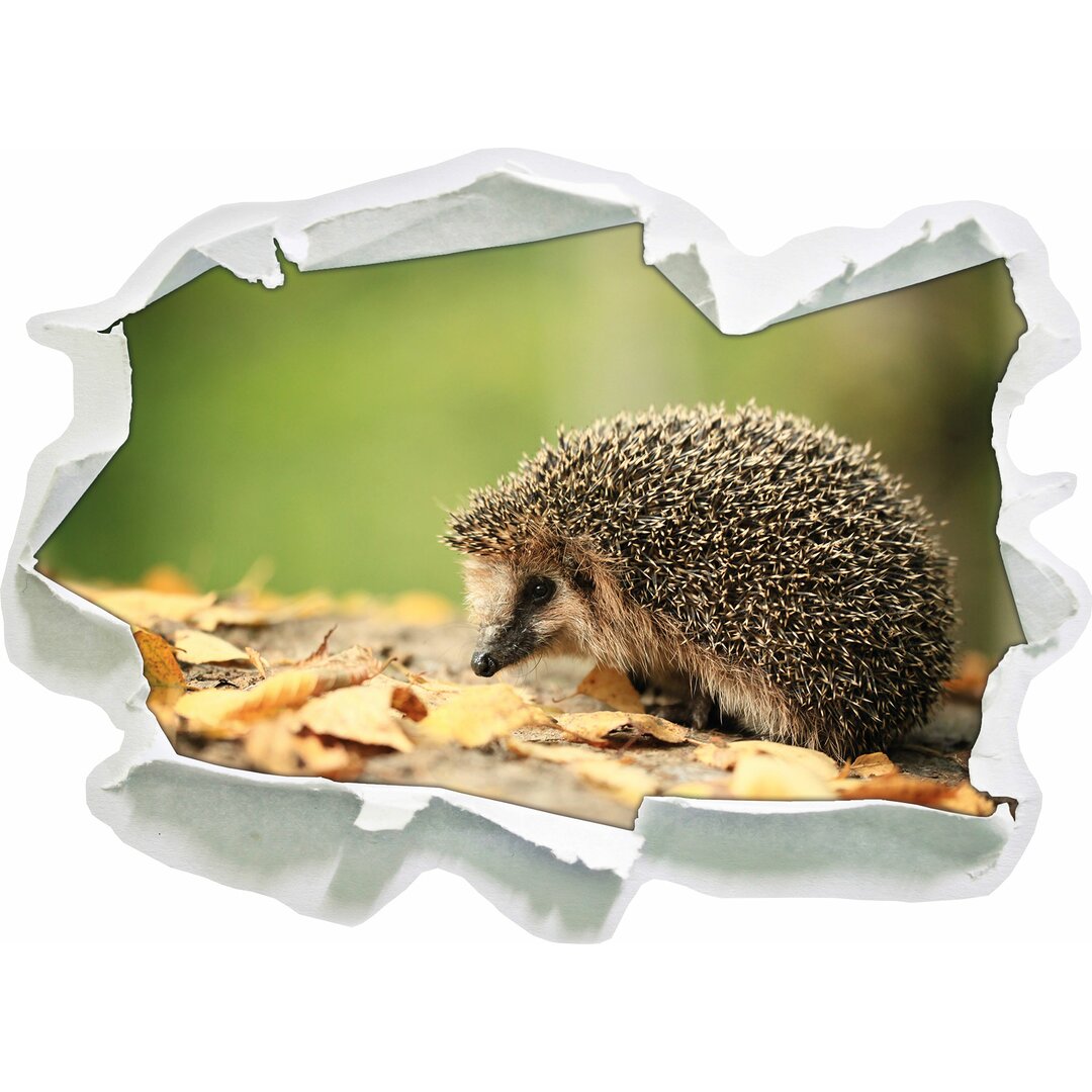 Igel im Laub Wandaufkleber