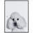 " Poodle " by Jodi P.