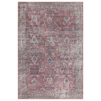 Hopkins Flatweave Red/Blue Rug