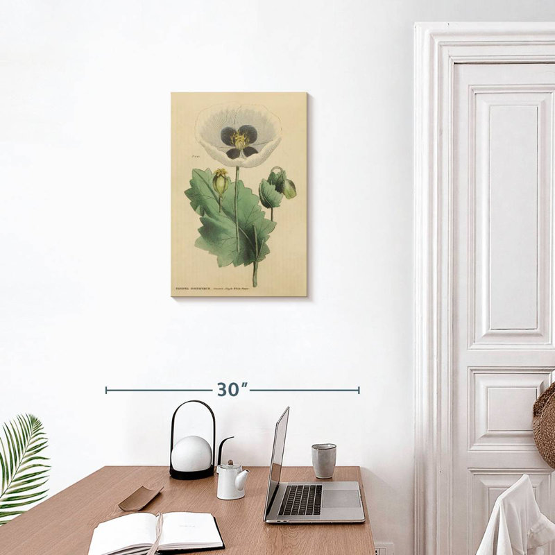 Harnek Herbal Botanical XV, 24" H x 16" W
