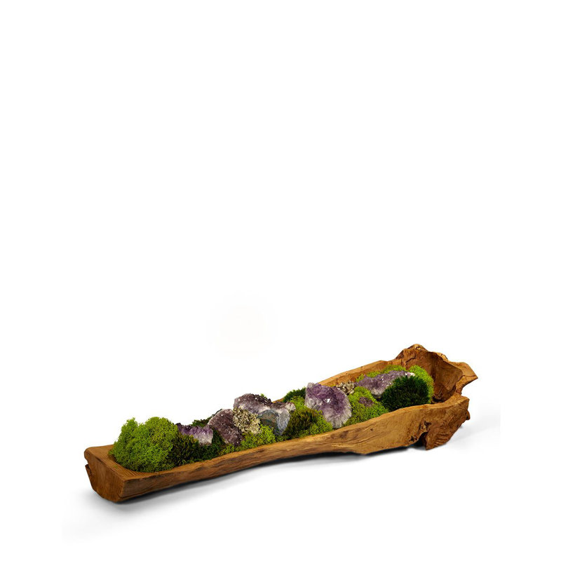 Moss Plant in Wood Planter