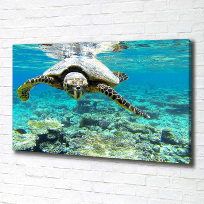 Sea Turtle - Wrapped Canvas Print