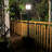 Glenpool Pathway Light