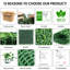 20" x 20" Artificial Boxwood Hedge Panel