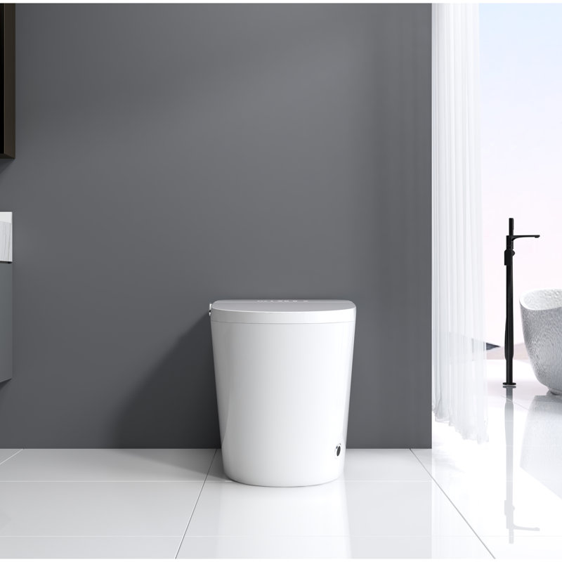 Luxury Toilet With Instant Warm Water , Remote Control - White Modern Smart Auto Flush,