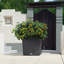 Moneak Planter Box-1392064359-1392064357
