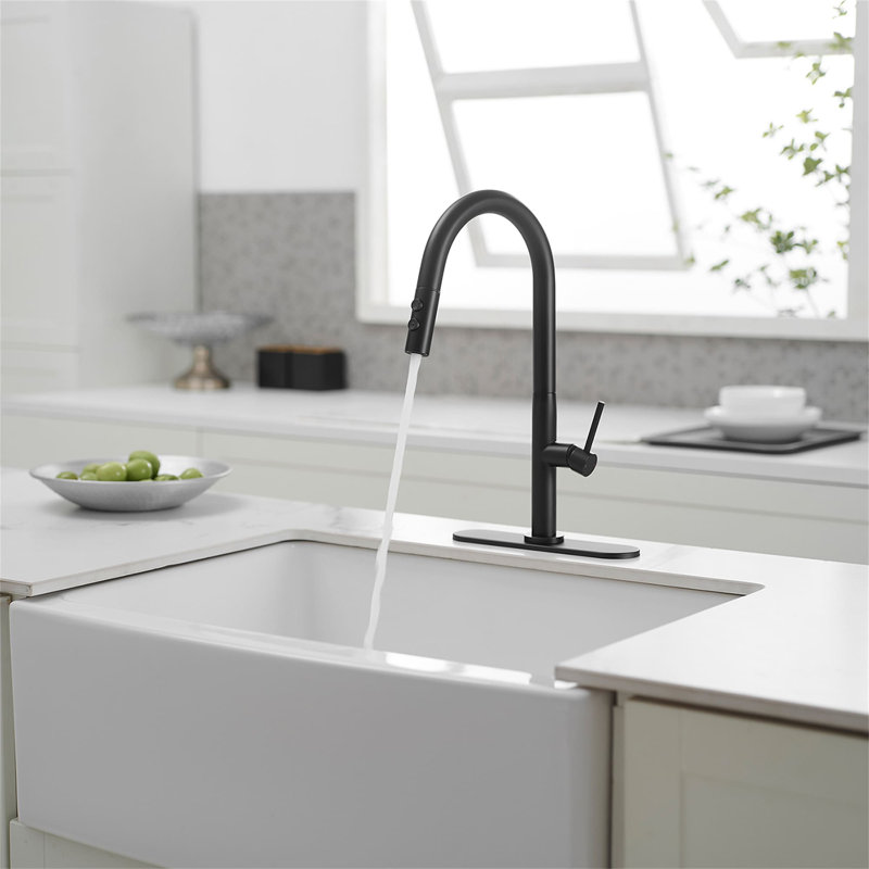 Robinet de cuisine à un trou avec douchette extractible et robinets d'évier de cuisine à poignée simple, Noir mat