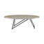 Table basse ovale en chêne gris patiné et finition métal | Idée de cadeau