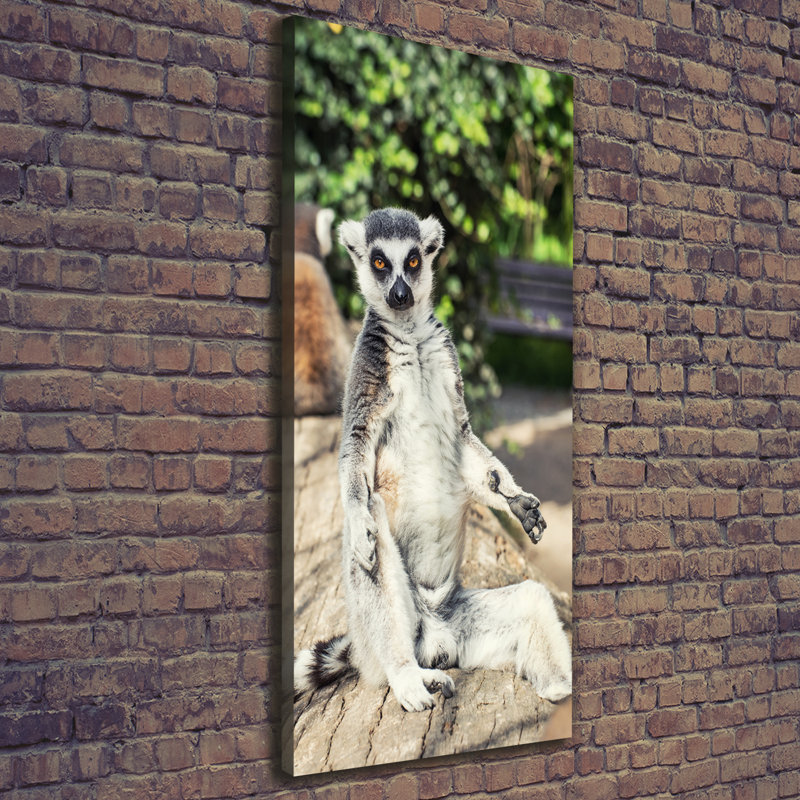 Lemur - Wrapped Canvas Print
