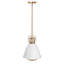 Luminaire suspendu simple Agripina-2101204155