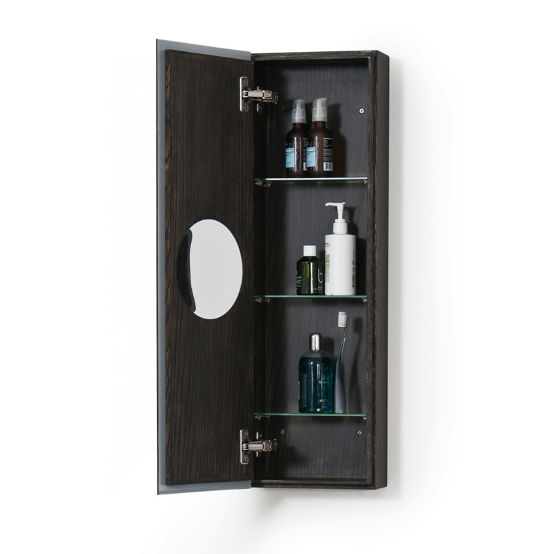 Zone 10'' W Mirrored Medicine Cabinet, Dark Oak