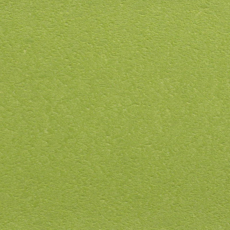 Ensemble Adirondack 3 pièces Nautical, Lime