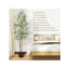 180cm Faux Olive Tree Tree-219855836