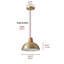 Luminaire suspendu conique à 1 lumière Bernyce-1356188218-1356188213