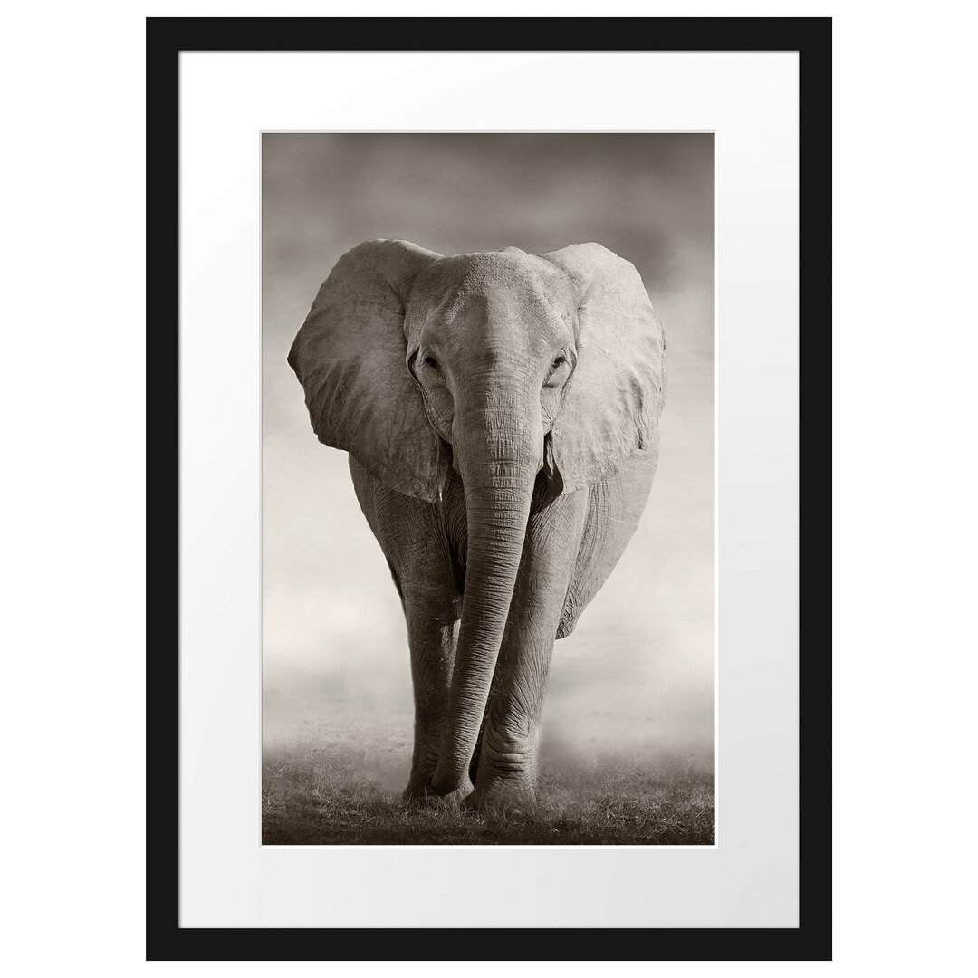 Gerahmtes Poster Elefant in Savanne